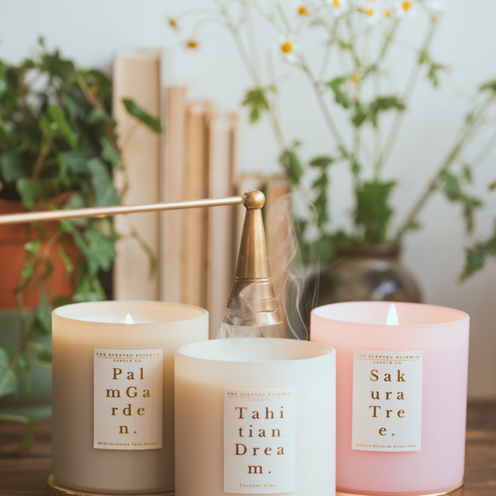 Why ‘Non-Toxic’ Isn’t Just a Buzzword to Me – A Candle Maker’s Personal Journey