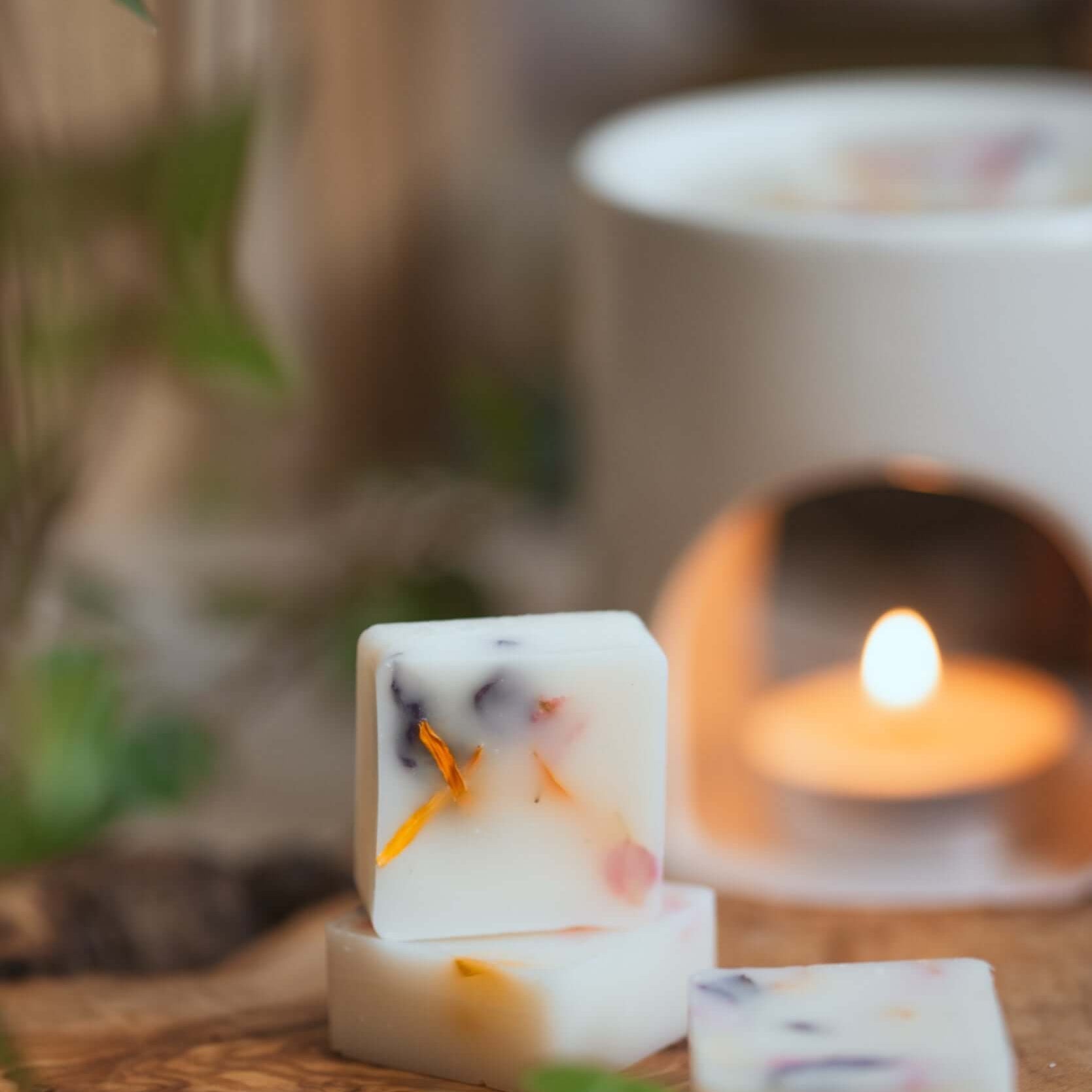 Botanical wax melt gift set