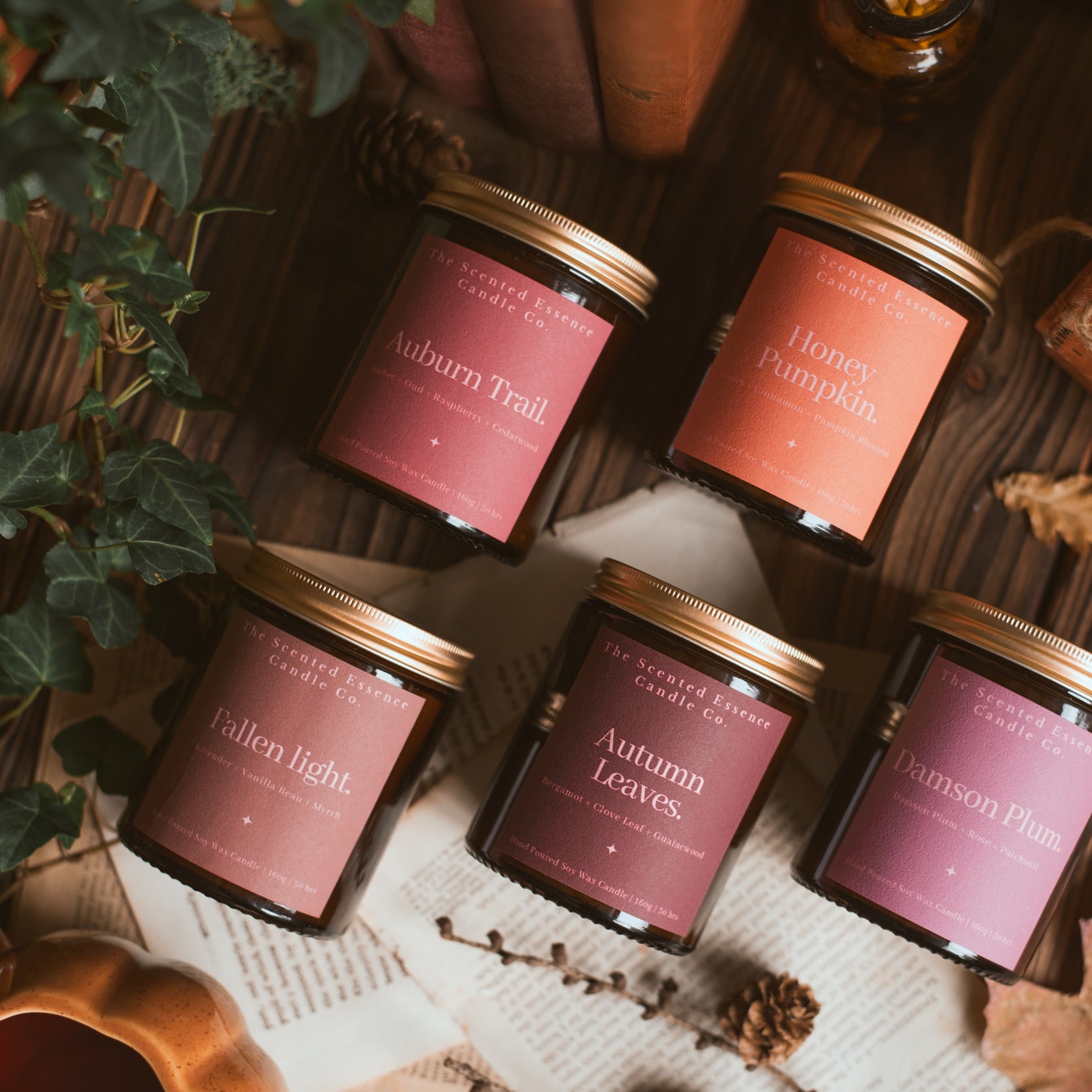 The Autumn Collection