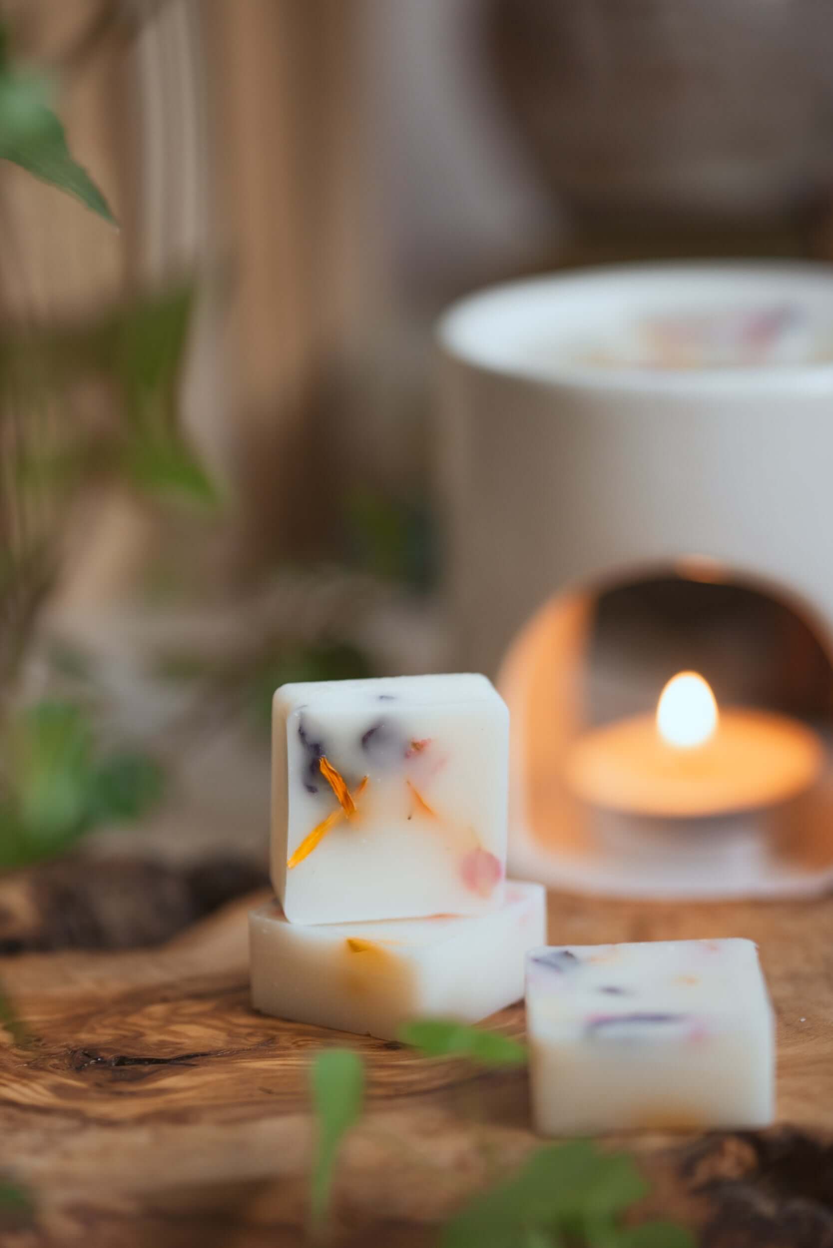 Botanical wax melt gift set